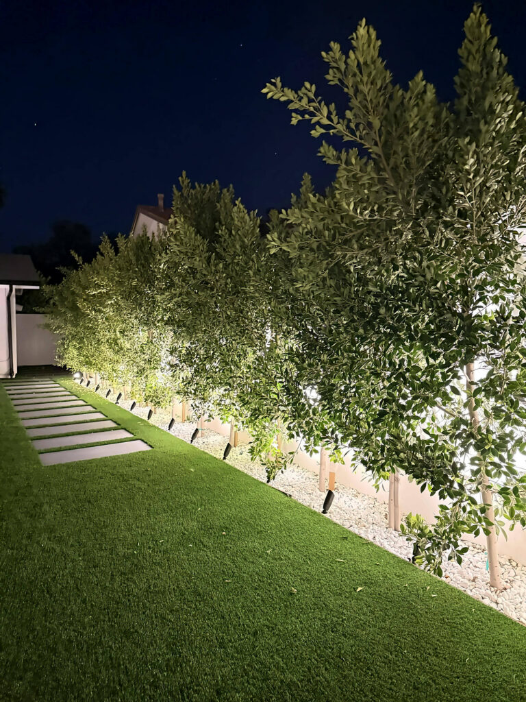Row of low-voltage landscape spotlights uplighting a line of hedge trees beside a lawn at night